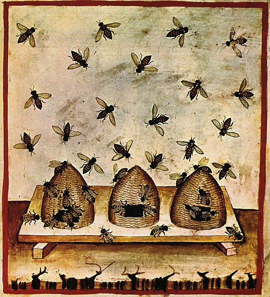 Beekeeping, tacuinum sanitatis casanatensis (14th century)