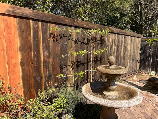 The Tale of Rob's Fence: A Transformation with Eco-Safe Wood Treatment
