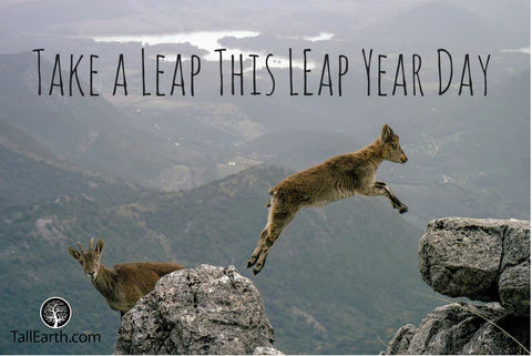 Take a Leap this Leap Year Day