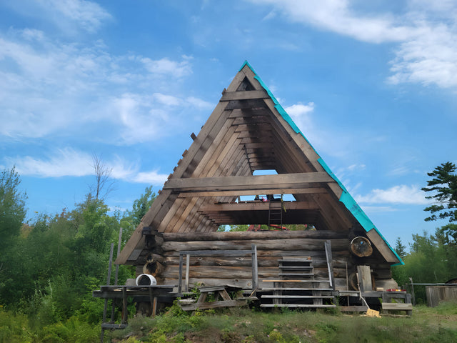 Dale's Rustic Log Cabin in Wisconsin