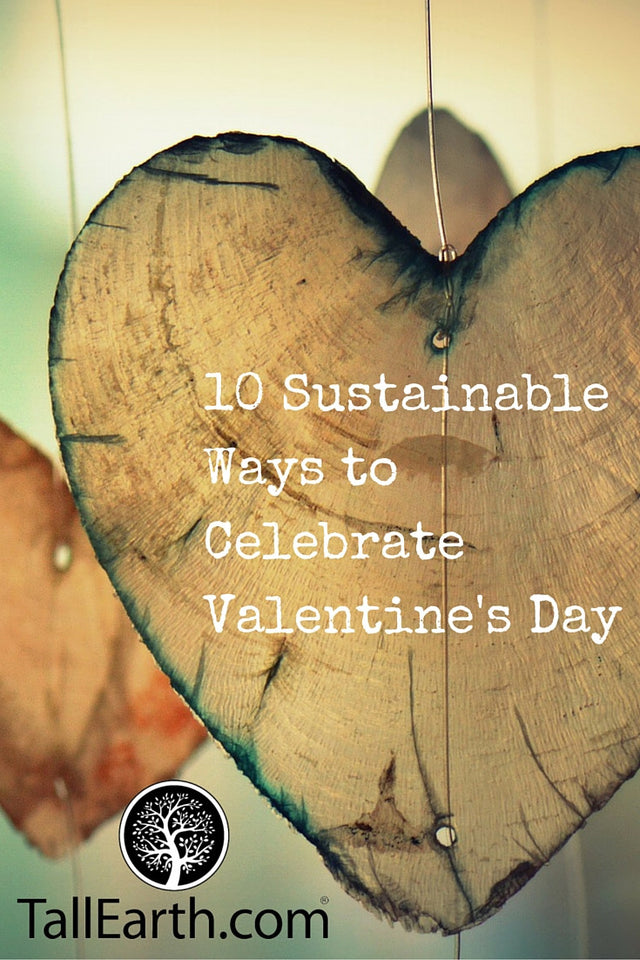 10 Sustainable Ways to Celebrate Valentine's Day