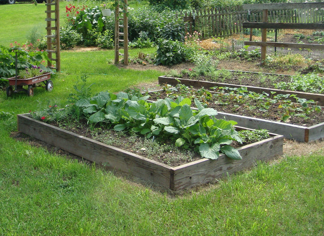 DIY Non-Toxic Raised Garden Beds